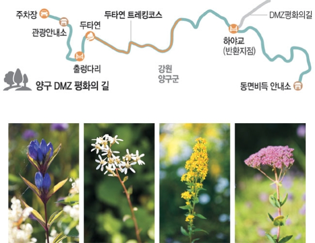 원본이미지(클릭)