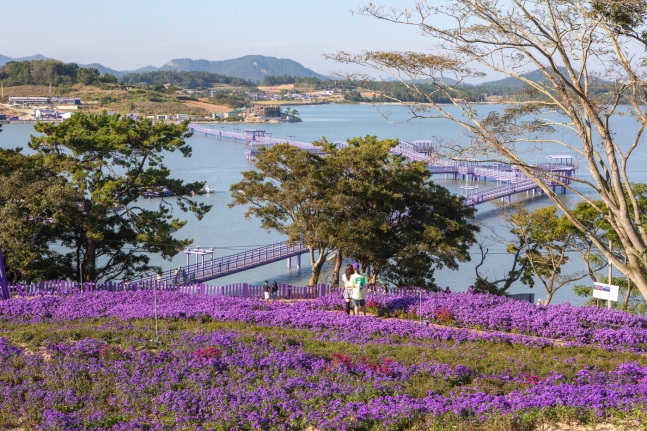 원본이미지(클릭)